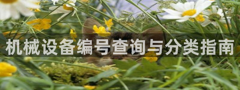 j9九游会导航
