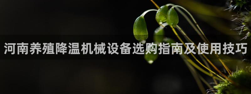 ag久游会