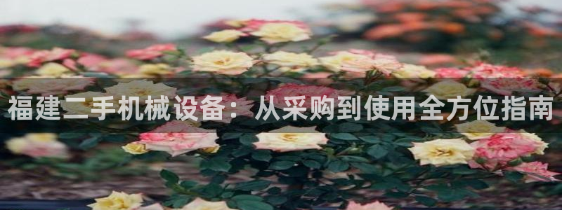 9游会老哥俱乐部