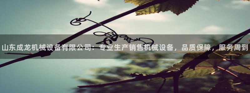 九游会官网地址