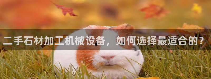 九游会a?g