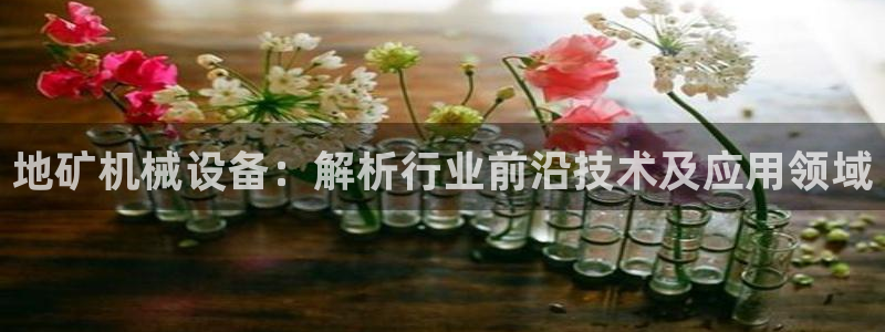 九游会ag官方平台