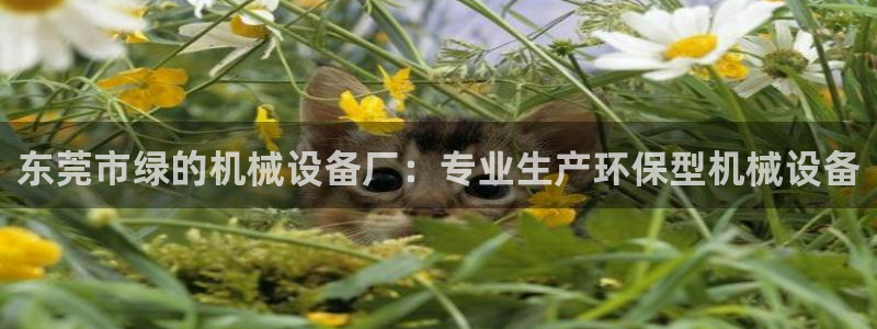 九游j9国际站