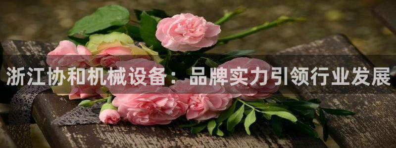 九游会国际厅登录 - j9九游会首页登录新版