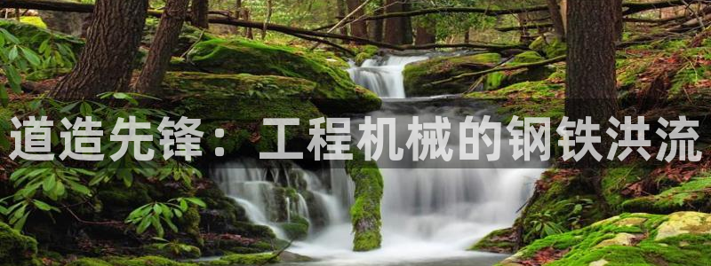 九游会ag官方网站在哪