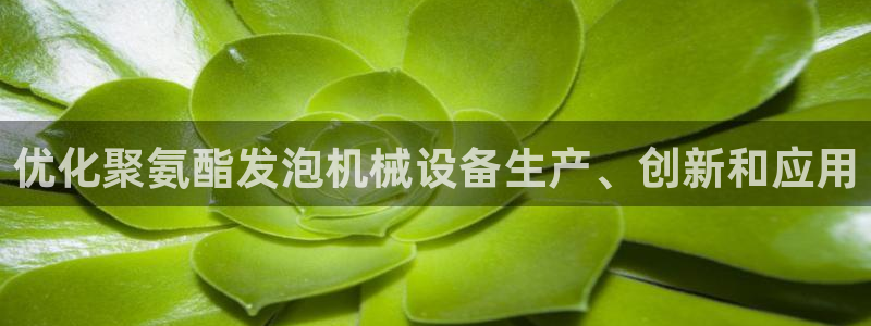 j9九游会直营