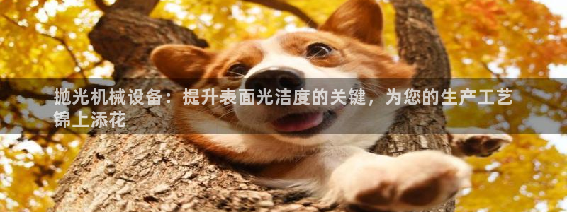 ag老队友