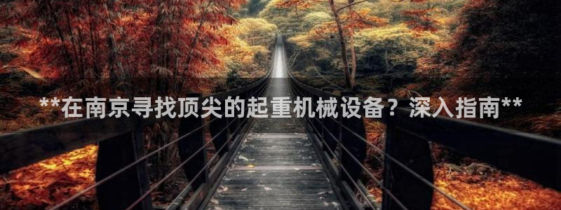 九游会平台网站