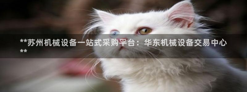九游会网址九