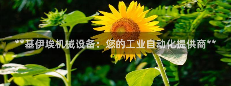 九游会是一个什么网站啊