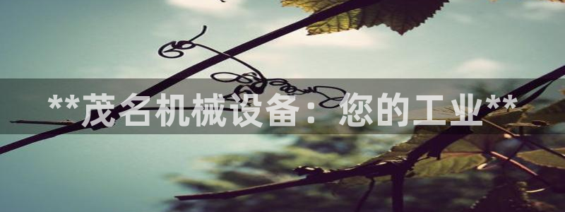 九游会黑钱吗