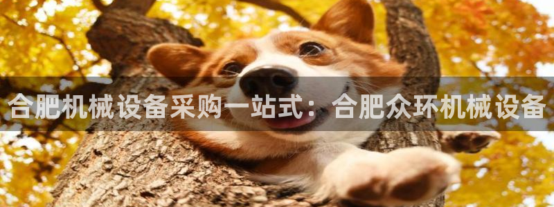 九游会 网址