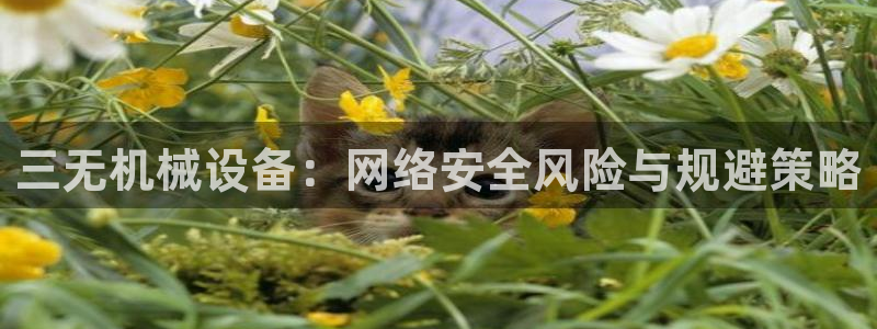 九游会官网多少