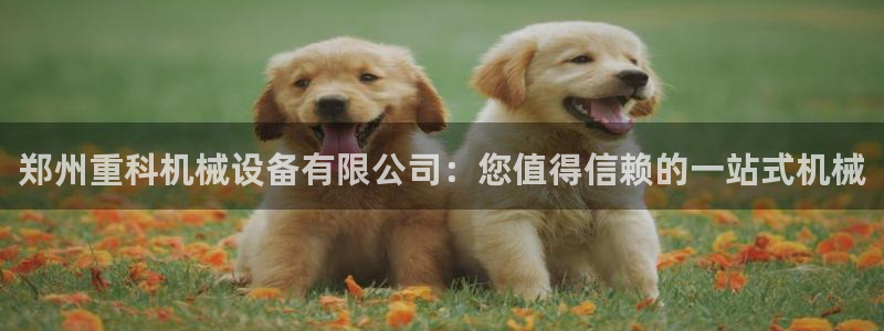 九游会官方下载