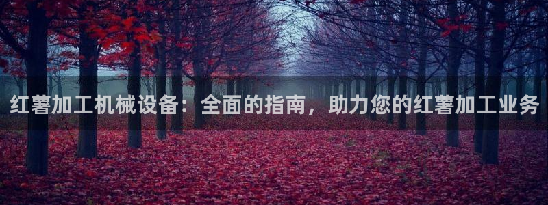 九游会官网网址