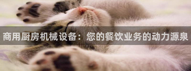 九游会官网真人