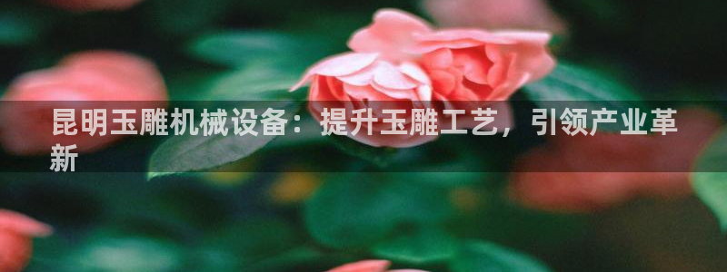 九游会官方下载
