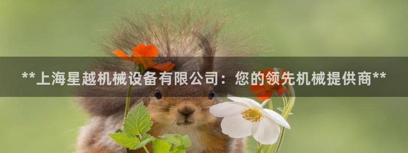 九游会官网入口首页