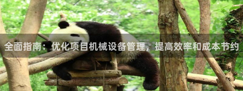 九游会J9官网入口