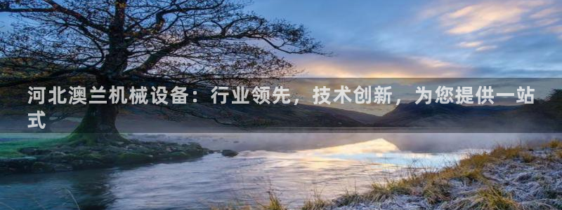 九游会ag私享