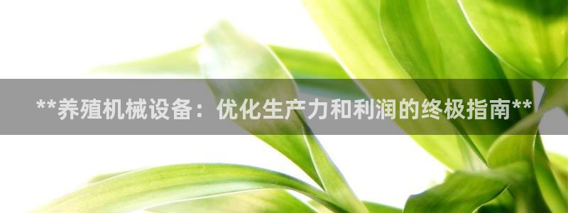 ag九游会app下载版官网正版