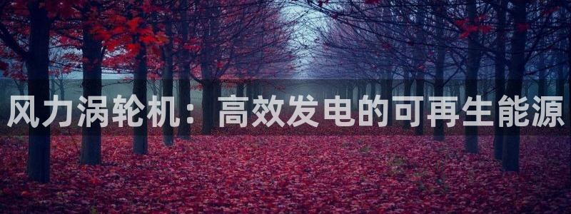 9游会app