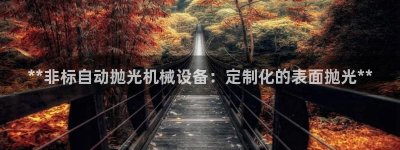 九游会usdt