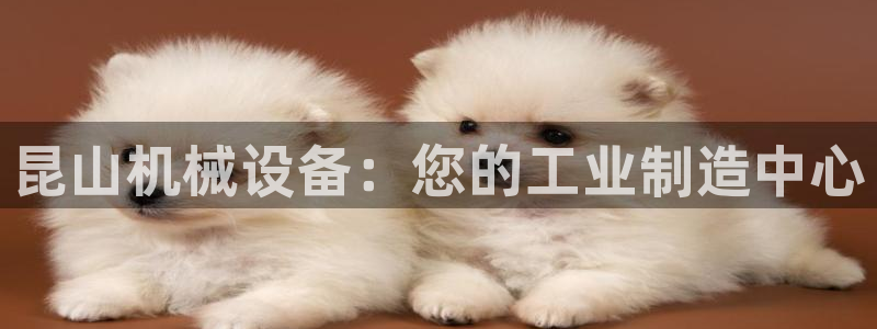 九游会吧