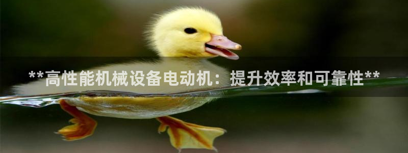 九游会官网真人认证吗知乎