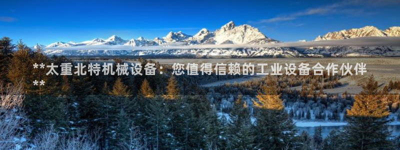 九游会 网址