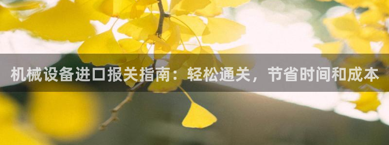 ag改名九游会