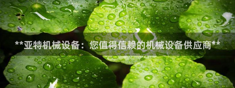J9九游会官网app