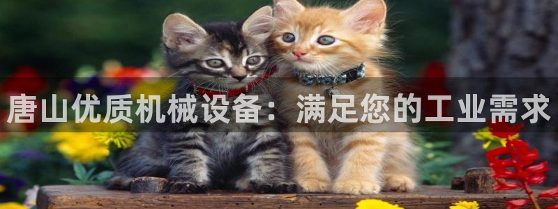 九游会电话