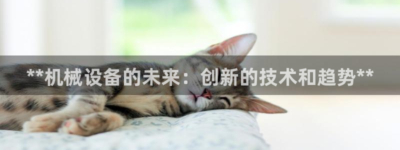 九游会集团菲律宾