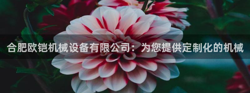 九游会中国入口