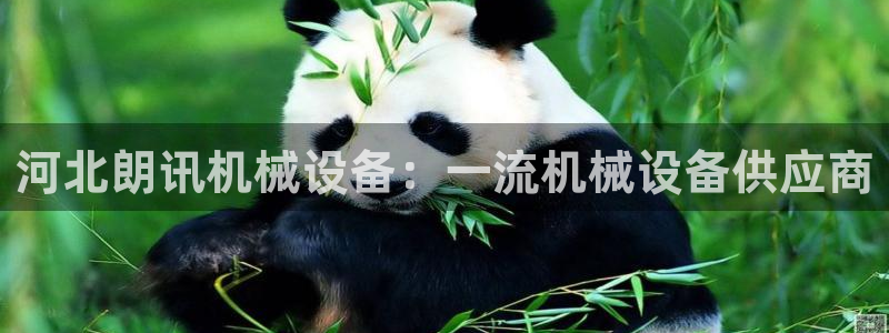 j9九游会导航