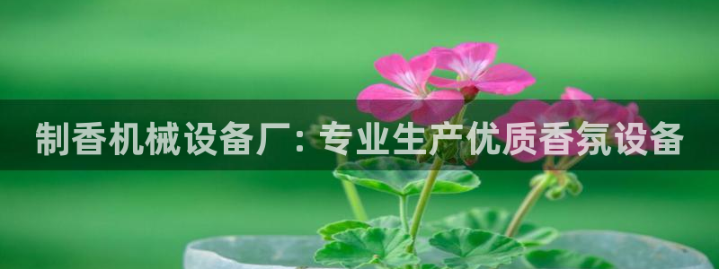 九游会是什么组织