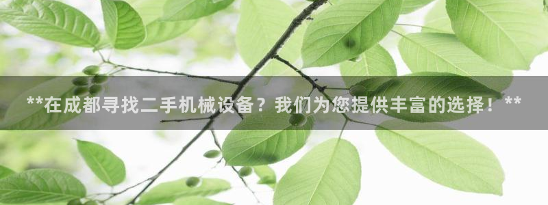 j9九游会老哥俱乐部