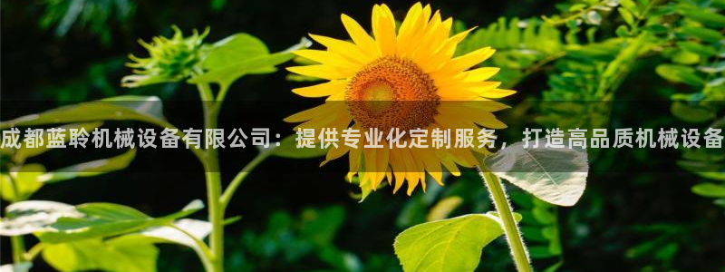 九游会可靠吗