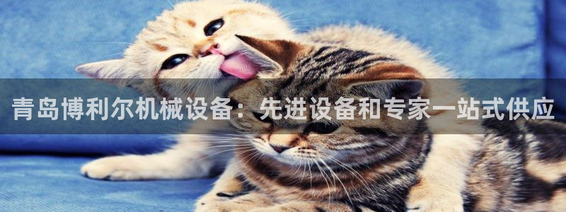 九游会上不去了