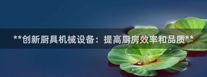 j9九游会真人第一品牌