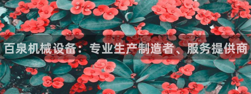 九游会跟ag是怎么一回事