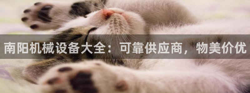 九游会倒闭