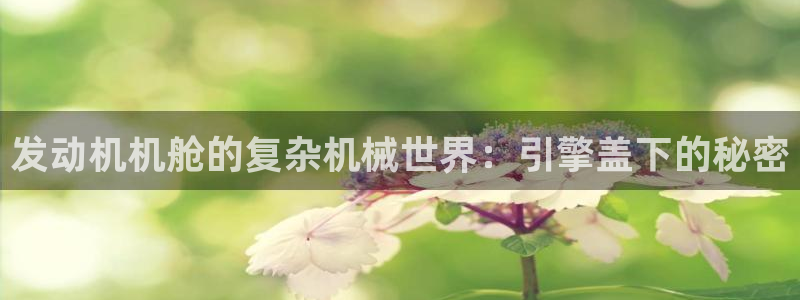 九游会ag登入