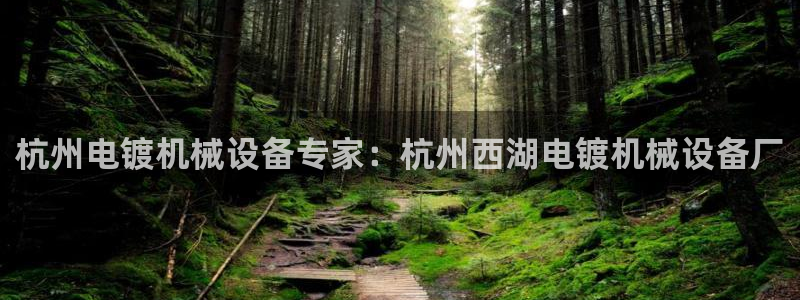 九游会手机登陆