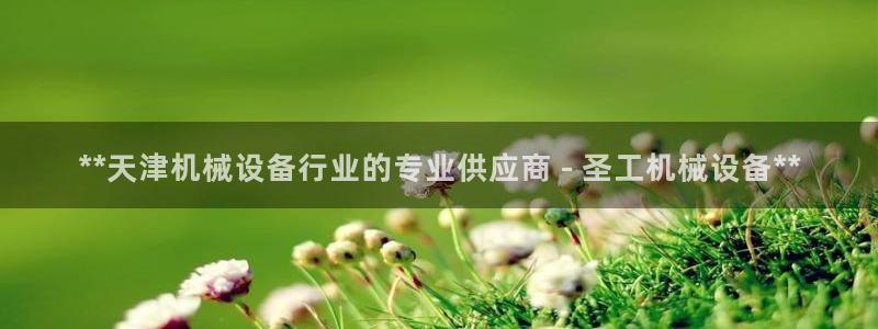 九游会集团国际