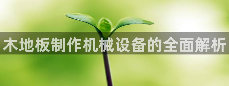 九游会j9国际站 - j9游会官方网页版