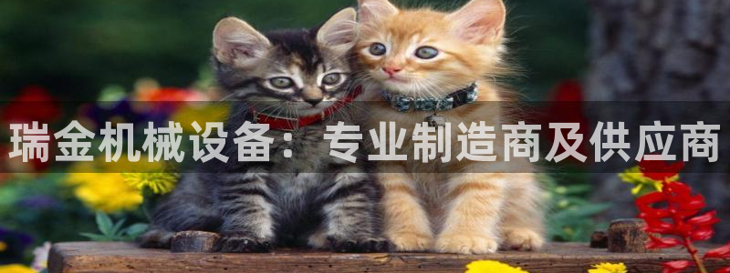 九游会怎么提币