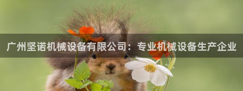 九游会老哥俱乐部论坛版