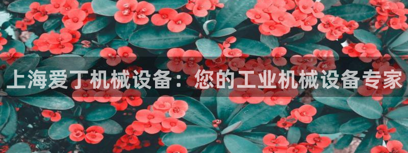 j9.cn